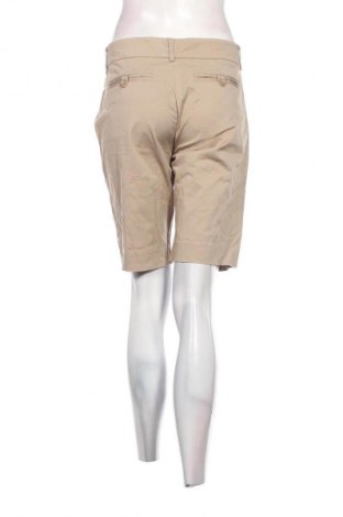 Damen Shorts Hallhuber, Größe M, Farbe Braun, Preis € 24,99