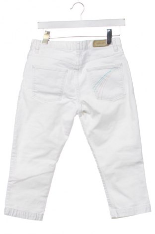 Damen Shorts Lacoste, Größe S, Farbe Weiß, Preis € 31,72