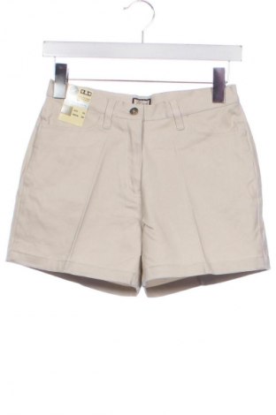 Damen Shorts Unbranded, Größe XS, Farbe Grau, Preis € 15,80