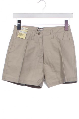 Damen Shorts Unbranded, Größe XS, Farbe Grau, Preis € 15,80