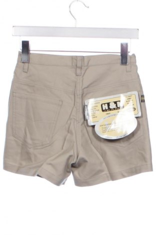 Damen Shorts Unbranded, Größe XS, Farbe Grau, Preis € 15,80