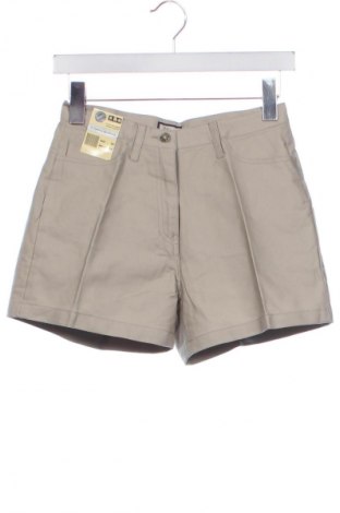 Damen Shorts Unbranded, Größe XS, Farbe Grau, Preis € 15,80