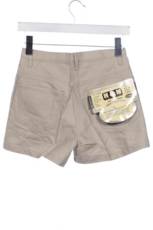 Damen Shorts Unbranded, Größe XS, Farbe Grau, Preis € 15,80