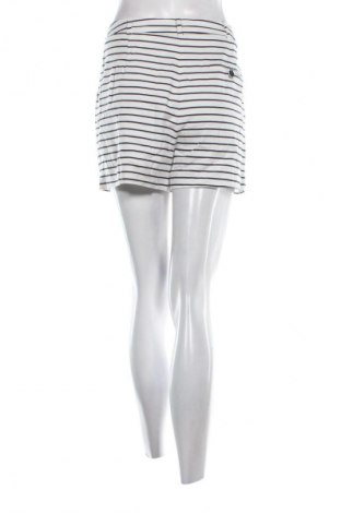 Damen Shorts Zara, Größe L, Farbe Mehrfarbig, Preis € 14,99