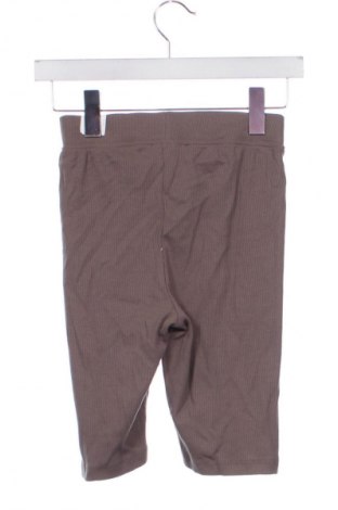 Damen Leggings Sinsay, Größe XS, Farbe Braun, Preis 15,86 €