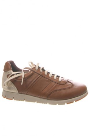 Damenschuhe Hotter, Größe 38, Farbe Mehrfarbig, Preis € 98,99