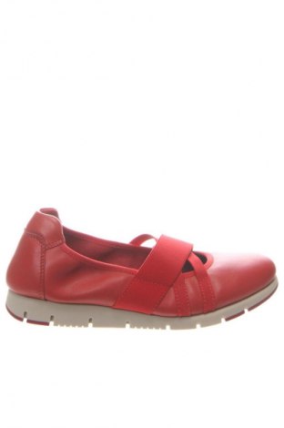 Damenschuhe Hotter, Größe 37, Farbe Rot, Preis € 88,99