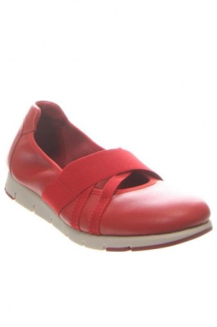 Damenschuhe Hotter, Größe 37, Farbe Rot, Preis € 88,99