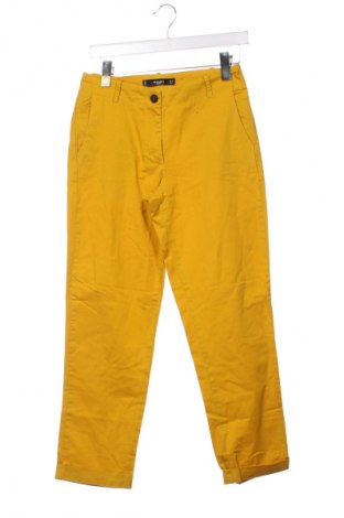 Damenhose Mango Tree, Größe XS, Farbe Gelb, Preis 20,99 €