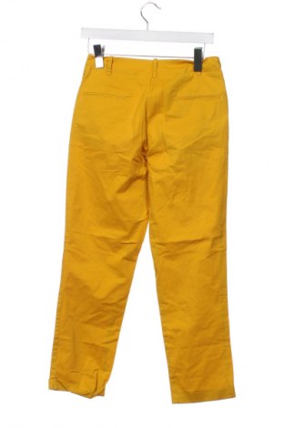 Damenhose Mango Tree, Größe XS, Farbe Gelb, Preis 20,99 €