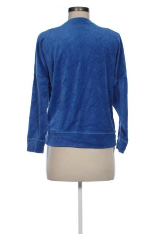 Damen Fleece Unbranded, Größe XS, Farbe Blau, Preis 19,95 €