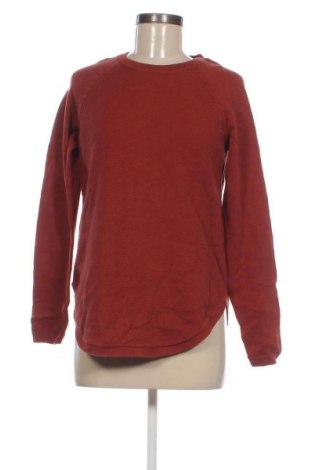 Damenpullover Target, Größe XS, Farbe Braun, Preis € 11,99