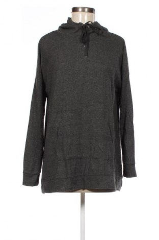 Damen Sweatshirt Ed.it.ed, Größe L, Farbe Grau, Preis € 32,99