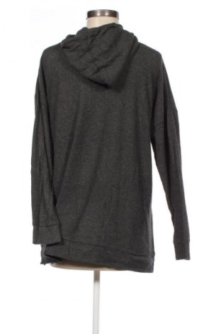 Damen Sweatshirt Ed.it.ed, Größe L, Farbe Grau, Preis € 32,99