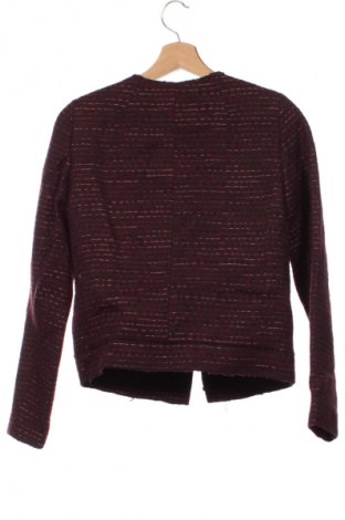 Damen Blazer Massimo Dutti, Größe XS, Farbe Mehrfarbig, Preis 172,99 €