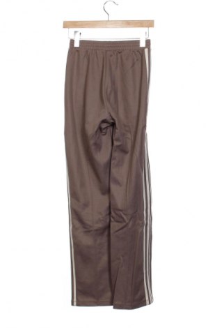 Damen Sporthose Adidas Originals, Größe XS, Farbe Braun, Preis 64,99 €