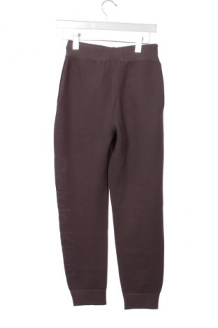 Damen Sporthose Calvin Klein Jeans, Größe XS, Farbe Lila, Preis 127,99 €