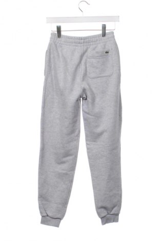Dámske tepláky Lacoste, Veľkosť XS, Farba Sivá, Cena  34,78 €