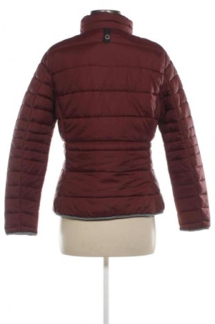 Damenjacke Gaastra, Größe L, Farbe Rot, Preis € 61,99