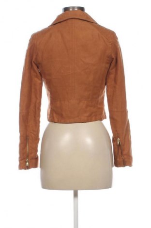 Damenjacke H&M Divided, Größe S, Farbe Braun, Preis € 33,99