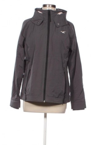 Damenjacke Hollister, Größe L, Farbe Grau, Preis € 47,99