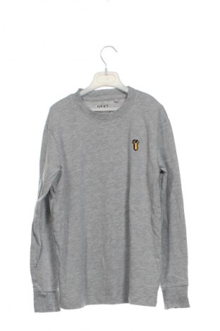 Kinder Shirt Next, Größe 8-9y/ 134-140 cm, Farbe Grau, Preis € 16,99