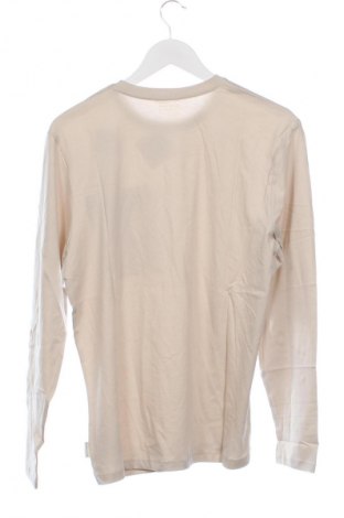Kinder Shirt Tom Tailor, Größe 15-18y/ 170-176 cm, Farbe Beige, Preis € 35,99