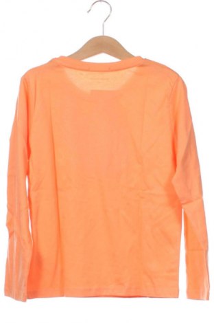 Kinder Shirt Tom Tailor, Größe 5-6y/ 116-122 cm, Farbe Orange, Preis € 35,99