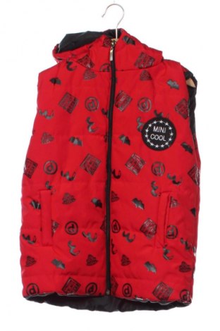 Kinderweste Unbranded, Größe 4-5y/ 110-116 cm, Farbe Mehrfarbig, Preis 20,41 €