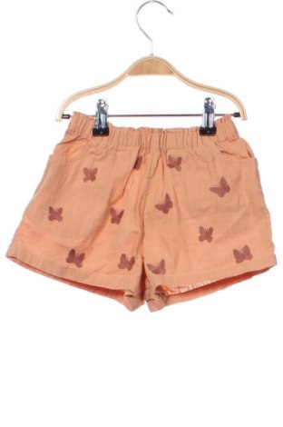 Kinder Shorts Next, Größe 12-18m/ 80-86 cm, Farbe Mehrfarbig, Preis € 27,99