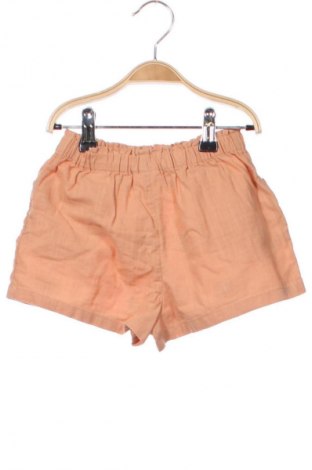 Kinder Shorts Next, Größe 12-18m/ 80-86 cm, Farbe Mehrfarbig, Preis € 27,99