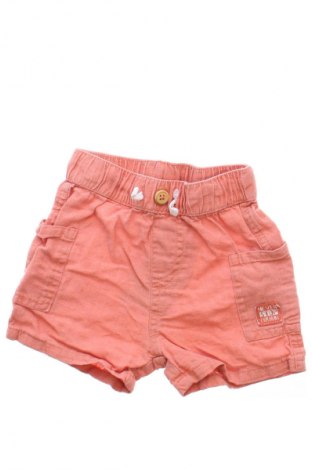 Pantaloni scurți pentru copii Pepco, Mărime 9-12m/ 74-80 cm, Culoare Roșu, Preț 26,32 Lei
