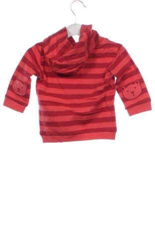 Kinder Sweatshirts Sterntaler, Größe 3-6m/ 62-68 cm, Farbe Rot, Preis € 35,99