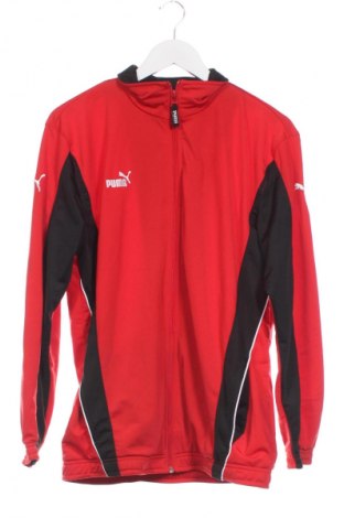 Kinder Sportoberteil PUMA, Größe 15-18y/ 170-176 cm, Farbe Mehrfarbig, Preis € 23,99