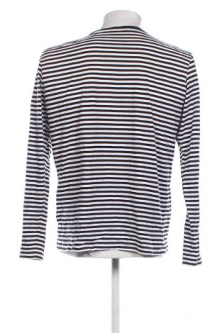 Herren Shirt Esprit, Größe L, Farbe Mehrfarbig, Preis € 18,99