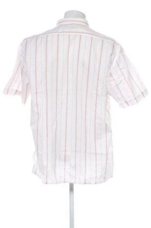 Férfi ing Unbranded, Méret XL, Szín Sokszínű, Ár 3 639 Ft
