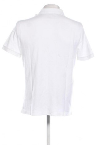 Pánské tričko  Abercrombie & Fitch, Velikost L, Barva Bílá, Cena  739,00 Kč