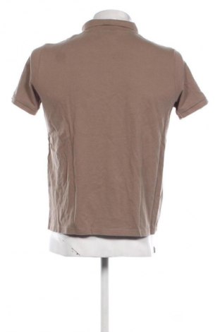 Męski T-shirt About You, Rozmiar L, Kolor Brązowy, Cena 110,99 zł
