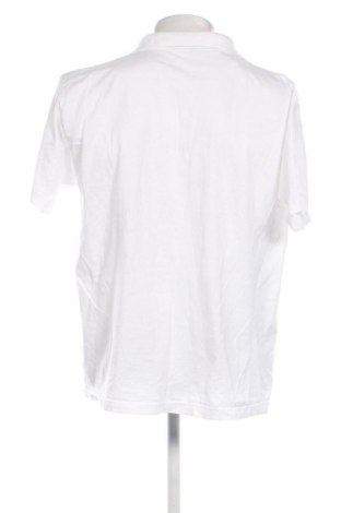 Herren T-Shirt Angelo Marani, Größe L, Farbe Weiß, Preis € 28,18
