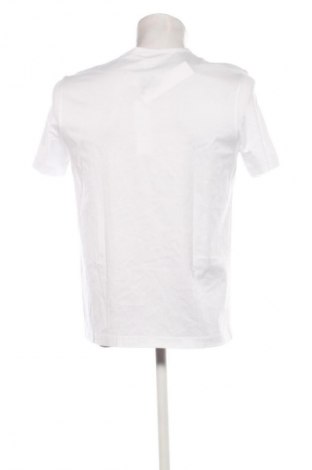 Herren T-Shirt Calvin Klein, Größe S, Farbe Weiß, Preis € 31,99