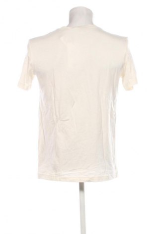 Herren T-Shirt Calvin Klein Jeans, Größe M, Farbe Ecru, Preis 38,99 €