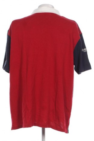 Herren T-Shirt Cotton Traders, Größe 4XL, Farbe Mehrfarbig, Preis € 23,59