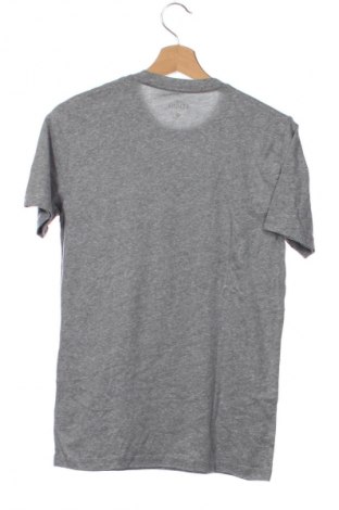 Ανδρικό t-shirt Hollister, Μέγεθος XS, Χρώμα Γκρί, Τιμή 16,99 €