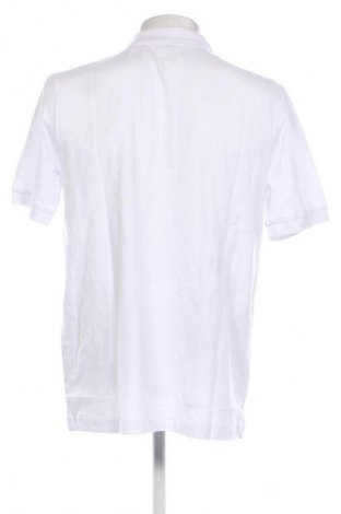 Herren T-Shirt Kappa, Größe XL, Farbe Weiß, Preis € 32,99