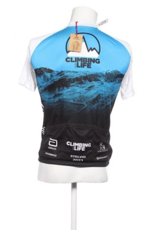 Herren T-Shirt Milremo, Größe L, Farbe Mehrfarbig, Preis 15,99 €