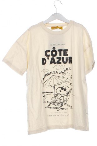 Herren T-Shirt Peanuts, Größe XS, Farbe Ecru, Preis € 13,99