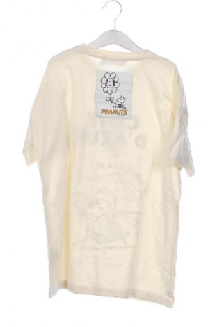 Herren T-Shirt Peanuts, Größe XS, Farbe Ecru, Preis € 13,99
