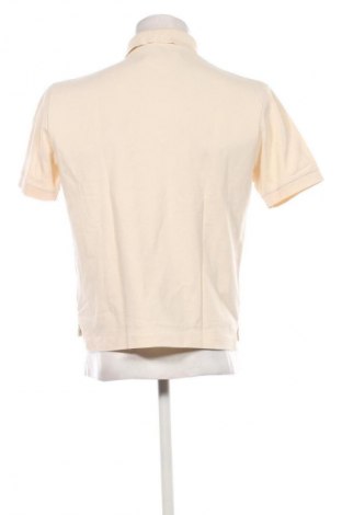 Herren T-Shirt Polo By Ralph Lauren, Größe S, Farbe Ecru, Preis € 57,99