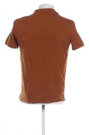 Herren T-Shirt Tom Tailor, Größe M, Farbe Braun, Preis € 10,23