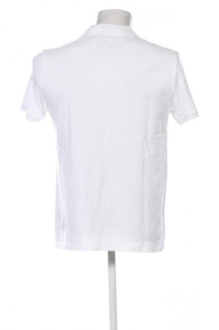 Ανδρικό t-shirt U.S. Polo Assn., Μέγεθος L, Χρώμα Λευκό, Τιμή 60,99 €